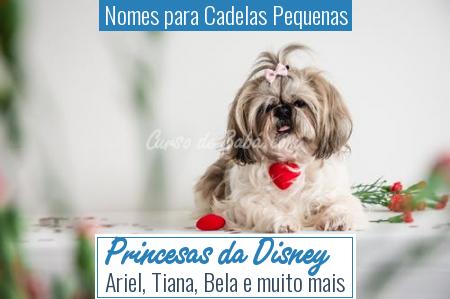Nomes para Cadelas Pequenas - Princesas da Disney
